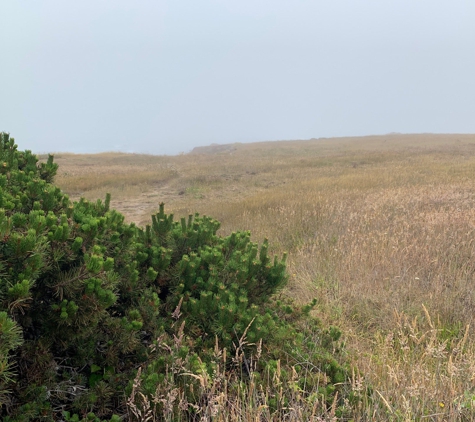 MacKerricher State Park - Fort Bragg, CA