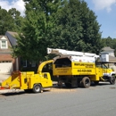 Maryland Paradise Tree Service LLC - Tree Service