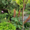 Room to Grown Designs - Botanical Gardens