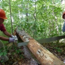 Absolute Best Care - Tree Service