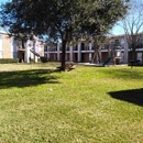 Palm Bluff Apartments - Furnished Apartments