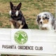 Pasanita Obedience Club