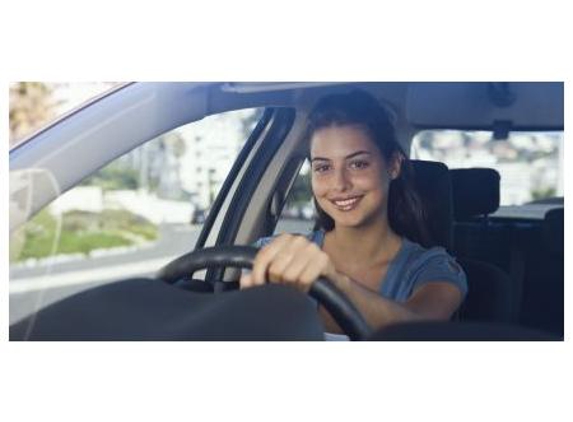 Max's Mobile Windscreens - New Lambton, NSW