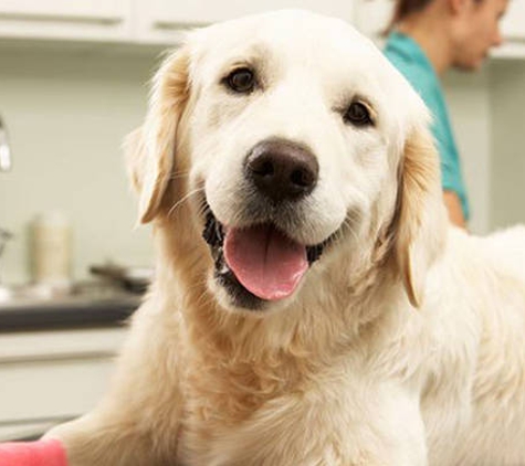 Latrobe Veterinary Group - Traralgon, VIC