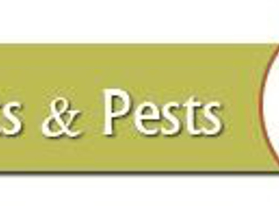 Cordray Pest Control - Guysville, OH
