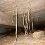 Advanced Termite & Pest Control - Crossville, TN