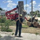 ABT Tree Care