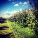Shelburne Orchards - Orchards