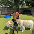 My Three Dogs - Hwy 17 - Hostels