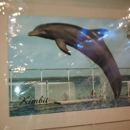 Dolphin Cove - Tourist Information & Attractions