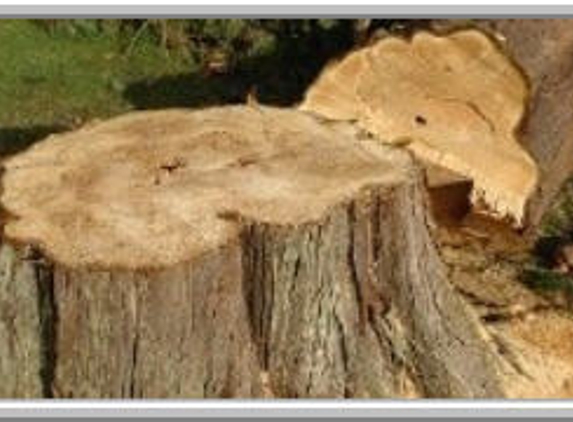 Finley's Tree Services - Neshannock, PA