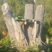 Gallery Image Number 2