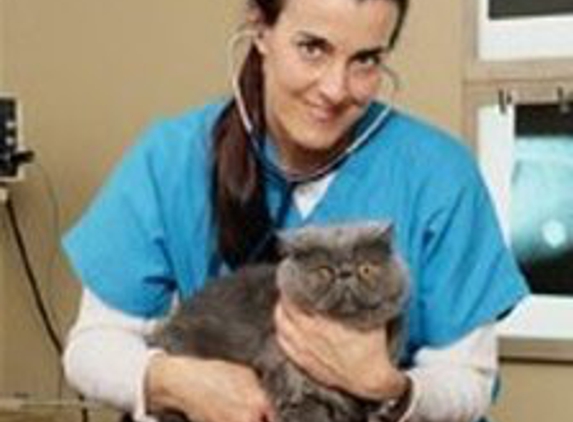 Sayrebrook Veterinary Hospital PA - Sayreville, NJ