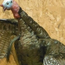 Turner - Taxidermists