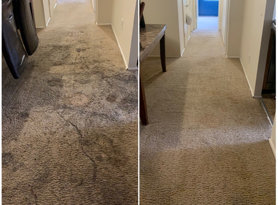 Professional Carpet Care - Laurel, MD. Before & After