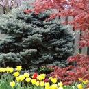 Custom Services Landscape Development - Landscape Designers & Consultants