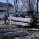 Seven Trees Tree Experts - Tree Service