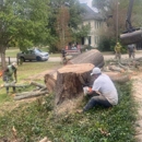 Porras Tree Service, LLC - Tree Service