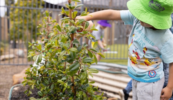 Tillys Play & Development Centre - Hunterview, NSW