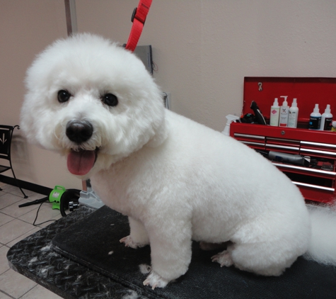 A Shampoochies Dog Grooming And Spa LLC - Las Vegas, NV