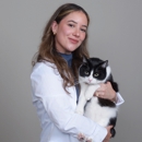 CityVet | Southtown - Pet Services