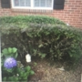 Second Nature Landscaping & Irrigation Inc