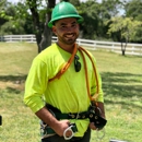 J The Tree Guy