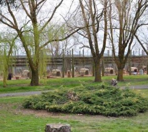 Doggie Motel & Cattery - Cardigan, VIC