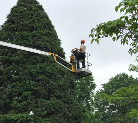 Long's Tree Service - Annville, PA