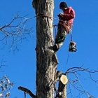 Ground Tech Tree Service