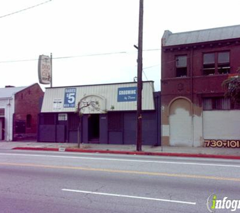 Washington Dog and Cat Hospital - Los Angeles, CA