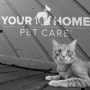 Your Home Pet Care