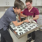 SmartVet Mobile Veterinary Service Illinois