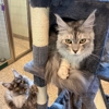Bayside Pet Resort gallery