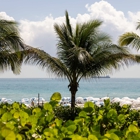 1 Hotel South Beach