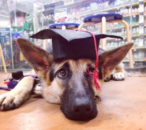 PetSmart - Sunset Valley, TX