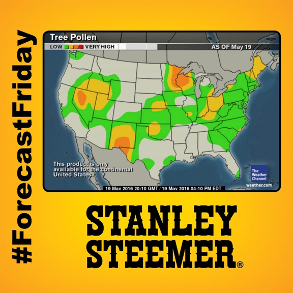 Stanley Steemer - Phoenix, OR