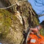 Woodland Tree Service