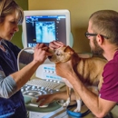 South Asheville Veterinary Emergency & Specialty - Veterinary Labs