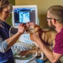 South Asheville Veterinary Emergency & Specialty