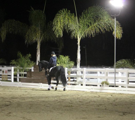 Swede Equine Show Stables - San Marcos, CA