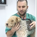 VCA Gwynedd Animal Hospital - Veterinary Clinics & Hospitals