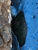 Young Pools Refurbishments - Swimming Pool Maintenance & Repairs