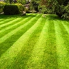 Custom Creations Landscapes & lawncare gallery