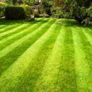 Custom Creations Landscapes & lawncare - Landscaping & Lawn Services