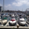 Marina Del Mar Condominiums gallery