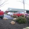 Stone Forest Materials gallery