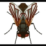 Gallery Image Number 3