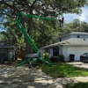 Tree Pros + Odds & Ends gallery