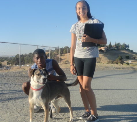 The Doggy Walkers - Antioch, CA